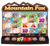 x7bet,x7bet login